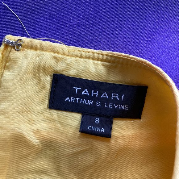 πTahari Arthur S. Levine Elegant Sleeveless Dress - Picture 14 of 15